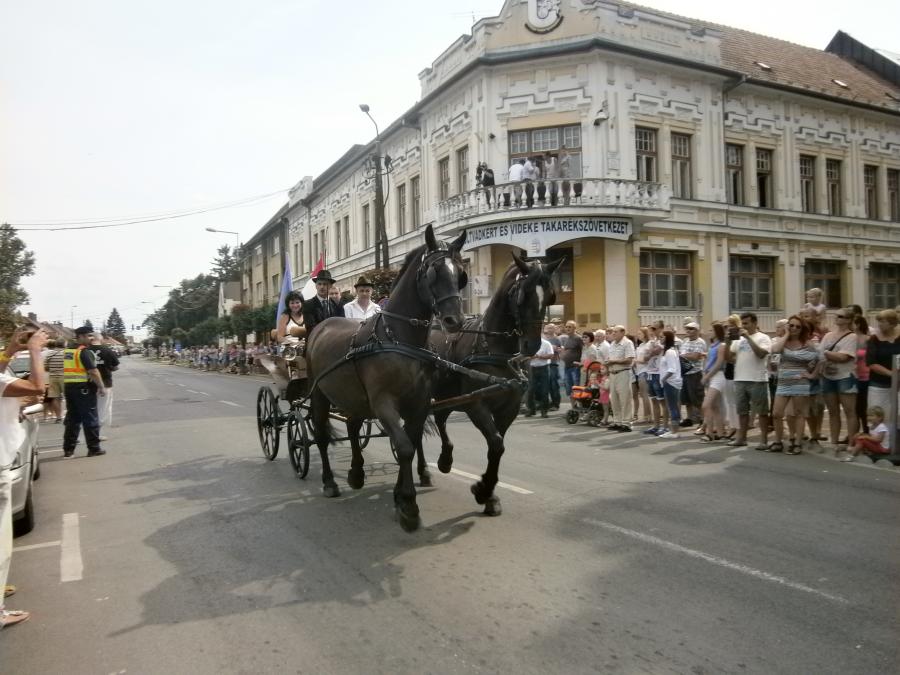 Kutsche mit Pferden zum Stadtfest in Ungarn