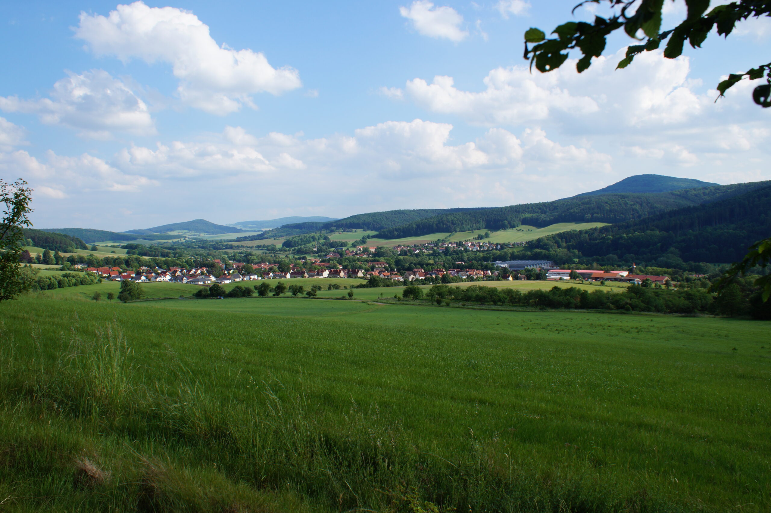 DSC00587